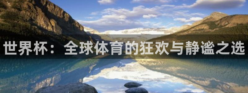 世界杯 直播：世界杯：全球体育的狂欢与静谧之选