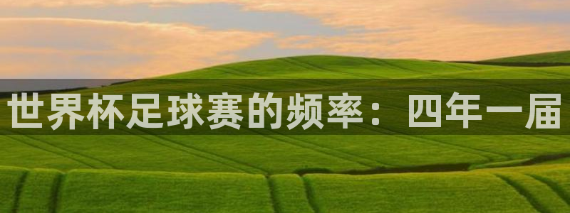 世界杯48支球队赛制：世界杯足球赛的频率：四年一届