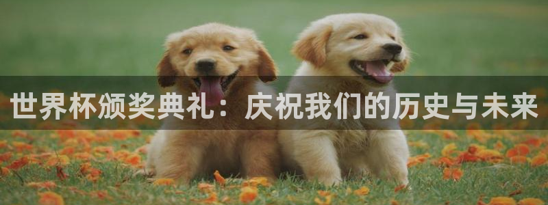 世俱杯直播:世界杯颁奖典礼:庆祝我们的历史与未来