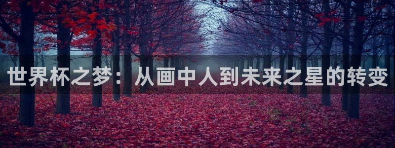世界杯2026比赛时间表：世界杯之梦：从画中人到未来之星的转变