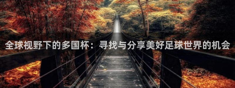 世界杯欧洲预选赛赛程：全球视野下的多国杯：寻找与分享美好足球世界的机会