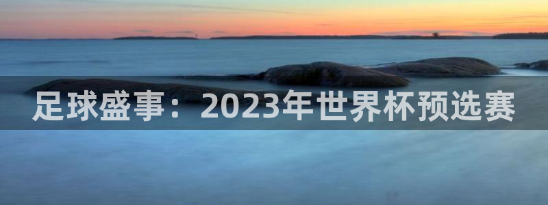 世界杯决赛直播：足球盛事：2023年世界杯预选赛