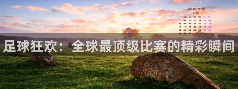 世界杯赛程表:足球狂欢:全球最顶级比赛的精彩瞬间