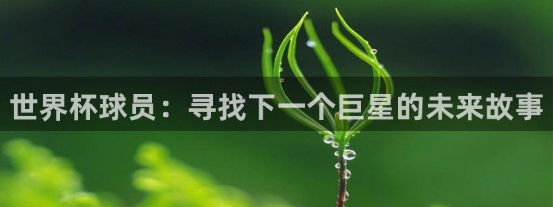 足球世界杯预选赛：世界杯球员：寻找下一个巨星的未来故事