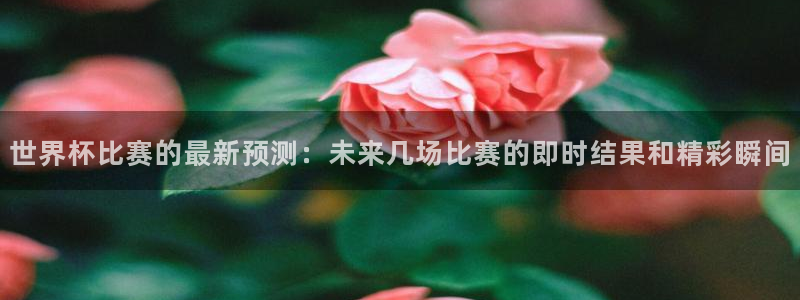 2026世界杯日期：世界杯比赛的最新预测：未来几场比赛的即时结果和精彩瞬间