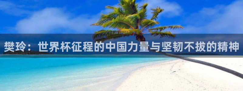 今年世界杯：樊玲：世界杯征程的中国力量与坚韧不拔的精神