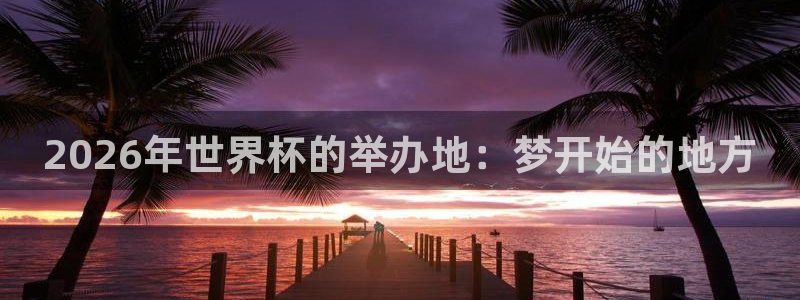世界杯：2026年世界杯的举办地：梦开始的地方