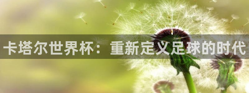世界杯2026赛制：卡塔尔世界杯：重新定义足球的时代