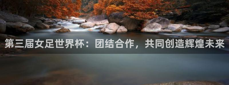 预选赛世界杯：第三届女足世界杯：团结合作，共同创造辉煌未来