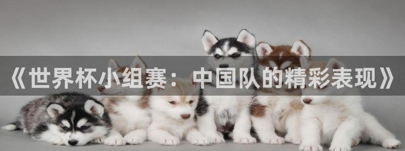 2026世界杯买球：《世界杯小组赛：中国队的精彩表现》