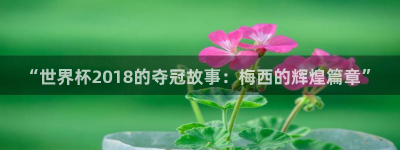 2026世界杯亚洲区预选赛：“世界杯2018的夺冠故事：梅西的辉煌篇章”