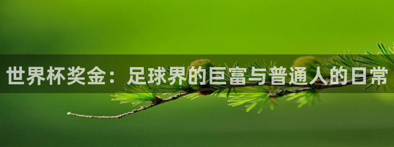 2026世界杯亚洲区预选赛：世界杯奖金：足球界的巨富与普通人的日常
