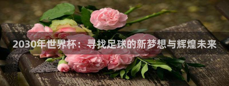 世界杯足球直播：2030年世界杯：寻找足球的新梦想与辉煌未来